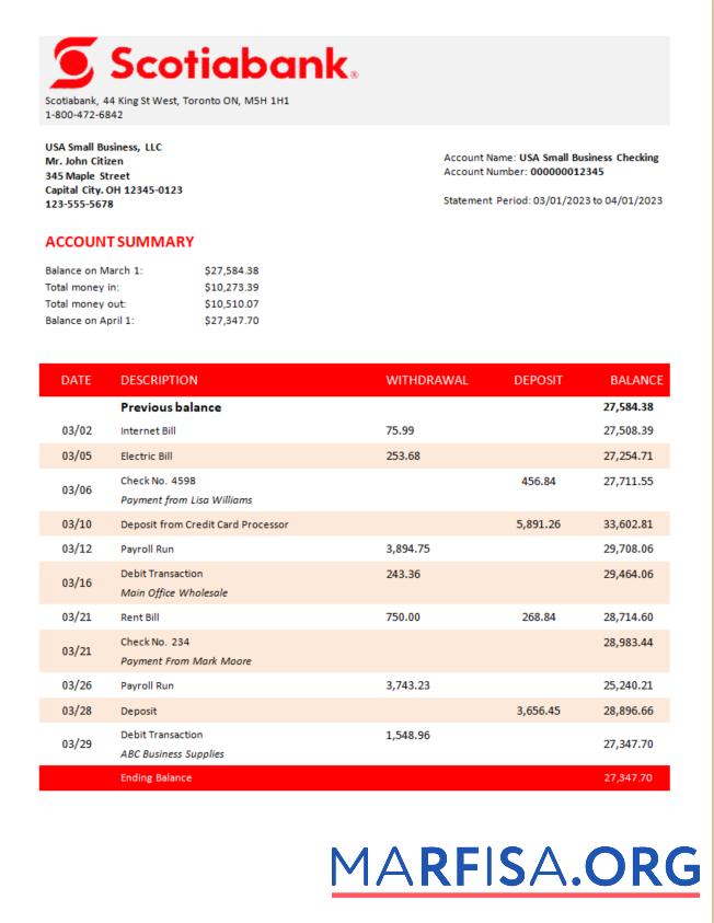 Blank Scotiabank Bank organization statement Word and PDF template